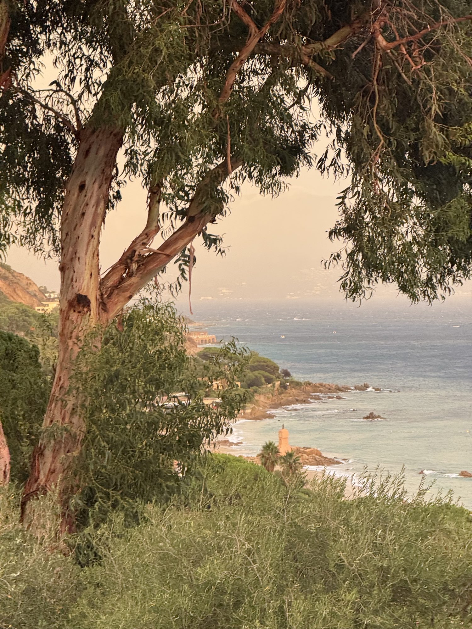 Route des Sanguinaires